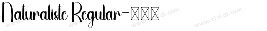 Naturaliste Regular字体转换